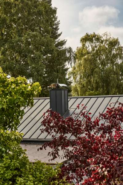 German spa town gets a steel spire among treetops, Im Kleifeld 17, 29389 Bad Bodenteich, Germany